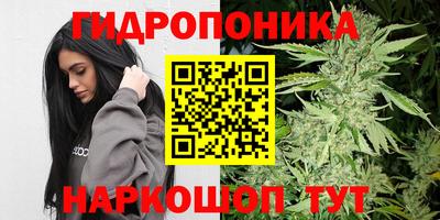 каннабис Аргун