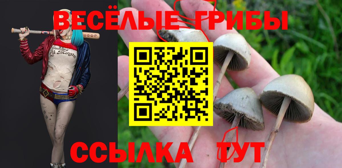 Галлюциногенные грибы MAGIC MUSHROOMS  цена   Боровичи  Вход с VPN 