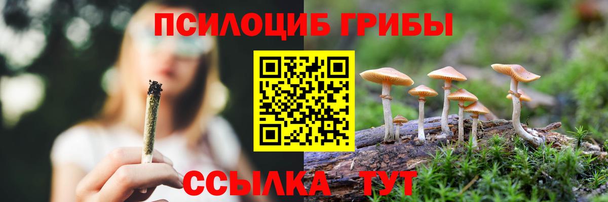 Галлюциногенные грибы Magic Shrooms Боровичи